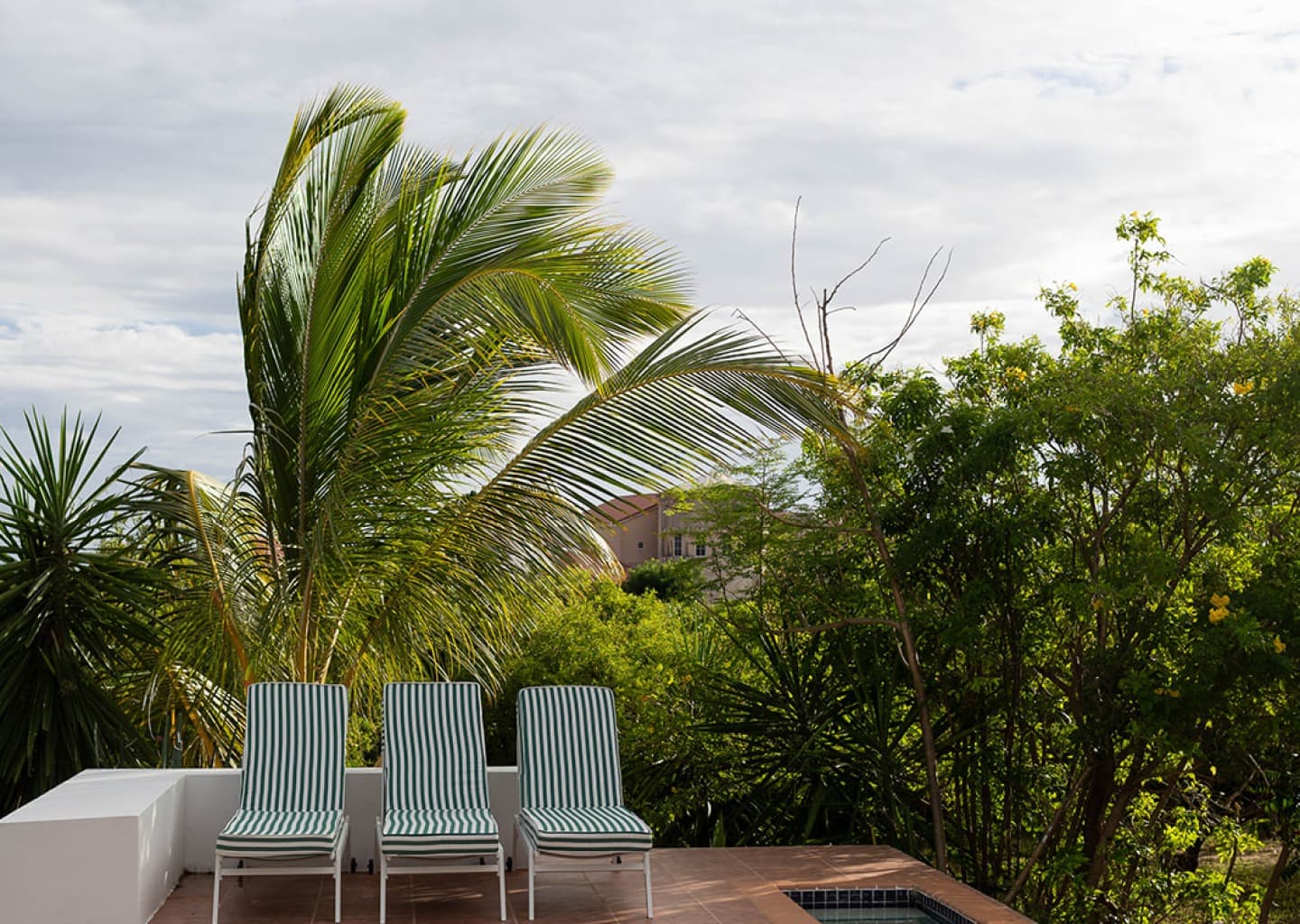 Three green-and-white striped loungers on the terracotta pool deck, framed by palms and flowering garden
